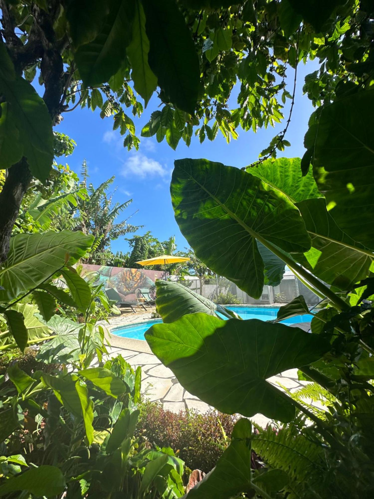 Lendormi - Maison Avec Piscine - Sainte Rose Εξωτερικό φωτογραφία